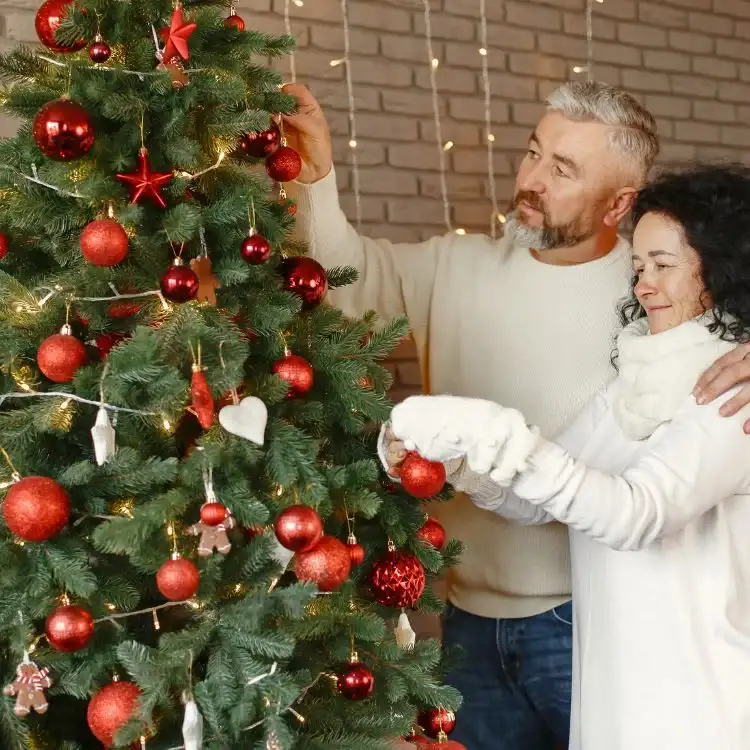 ballet explosión Bajo mandato 🌲 Los mejores Árboles de Navidad Naturales para 2022 🌲- Mi árbol de  Navidad Mi Árbol de Navidad | ¡Ningún árbol solo estas navidades!