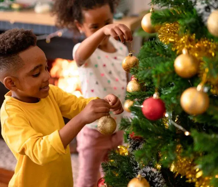 🌲 Los mejores Árboles de Navidad Naturales para 2022 🌲- Mi árbol de  Navidad Mi Árbol de Navidad | ¡Ningún árbol solo estas navidades!
